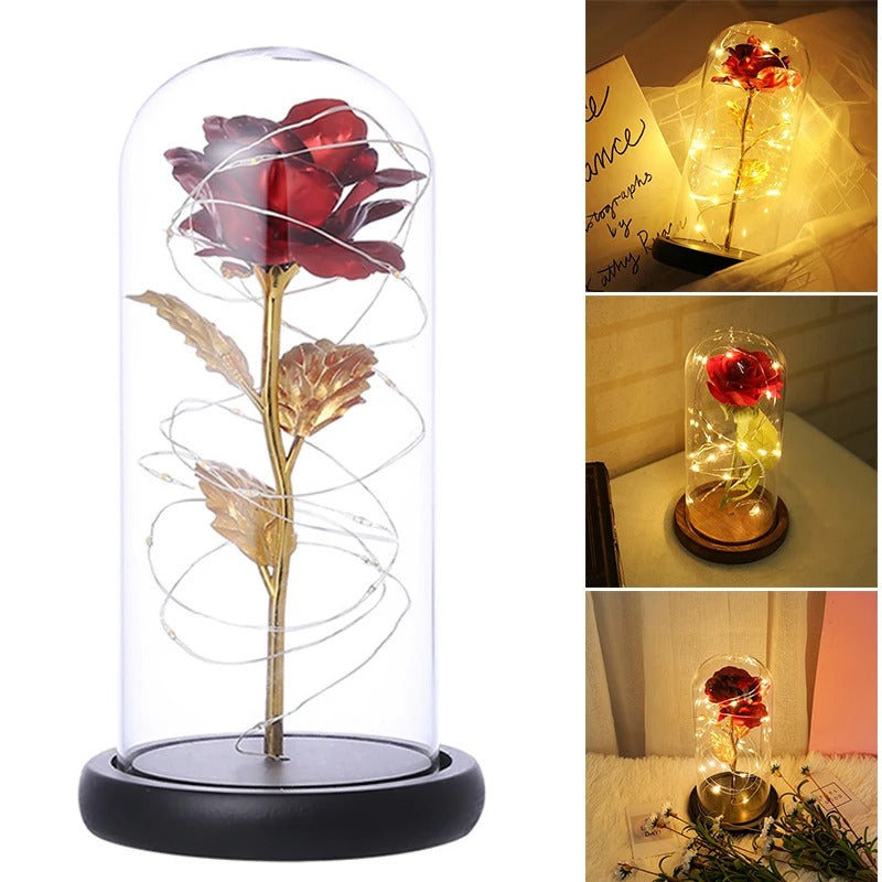 Rose Flower with Glass Cover LED Light