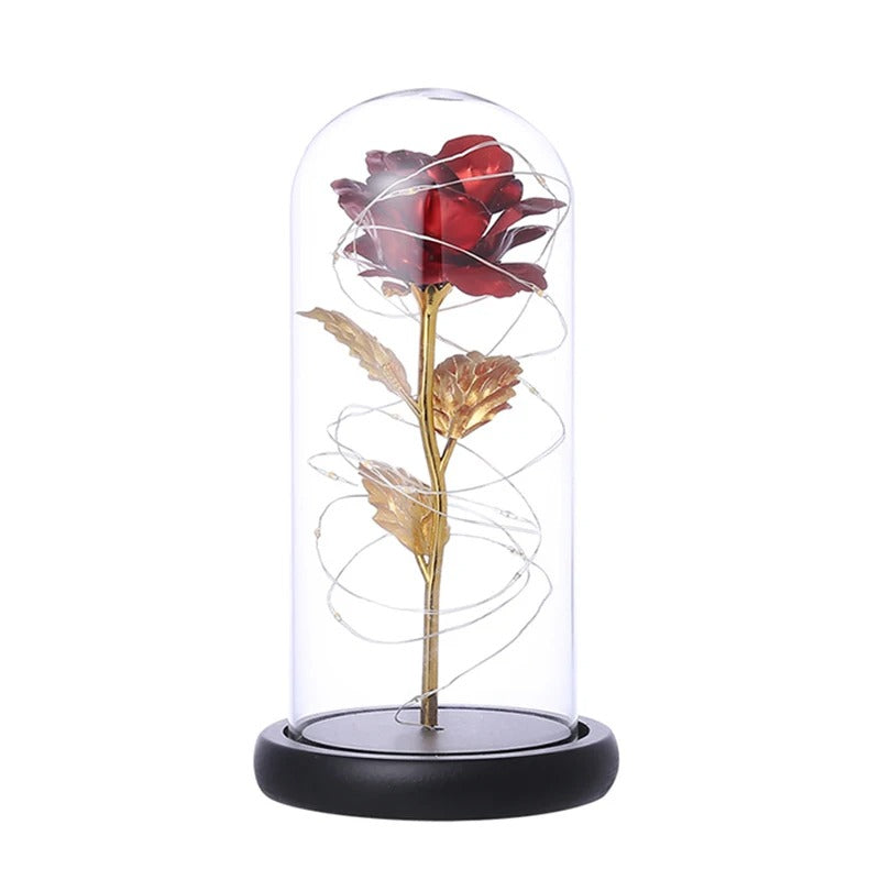 Rose Flower with Glass Cover LED Light